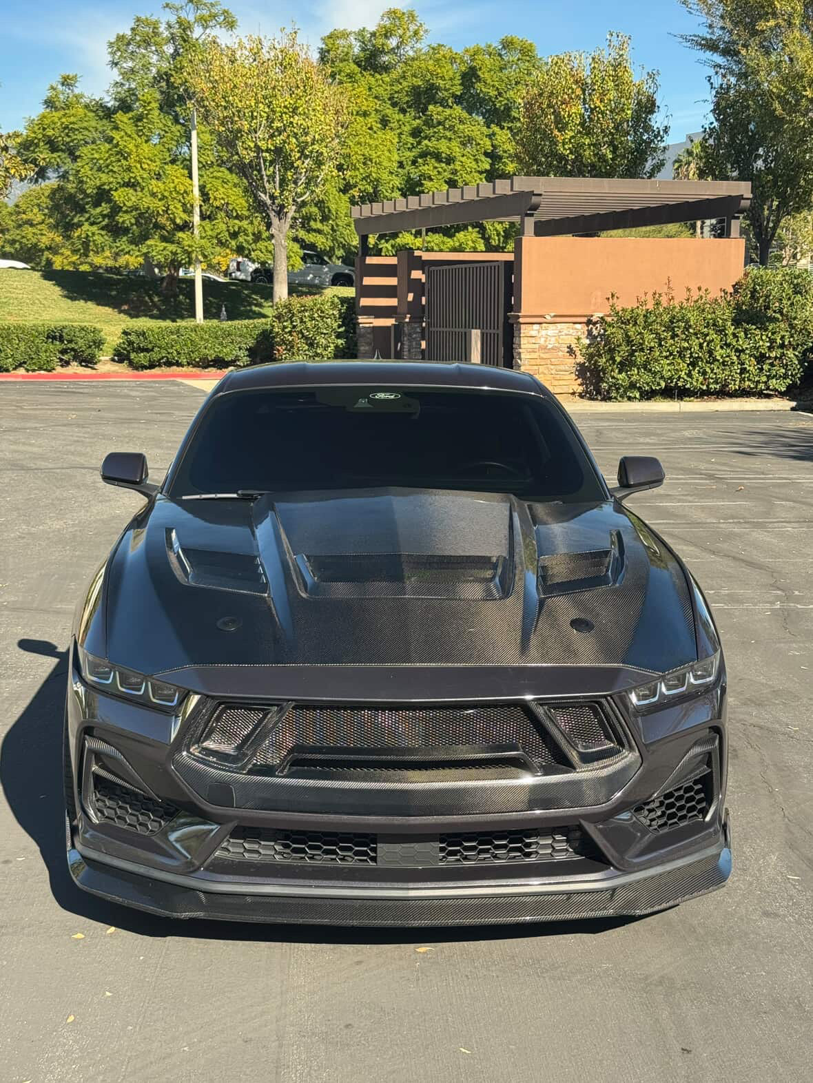 GT3 Carbon Fiber Front Bumper Grille for 2024+ Ford Mustang S650 by MAZ Muscle