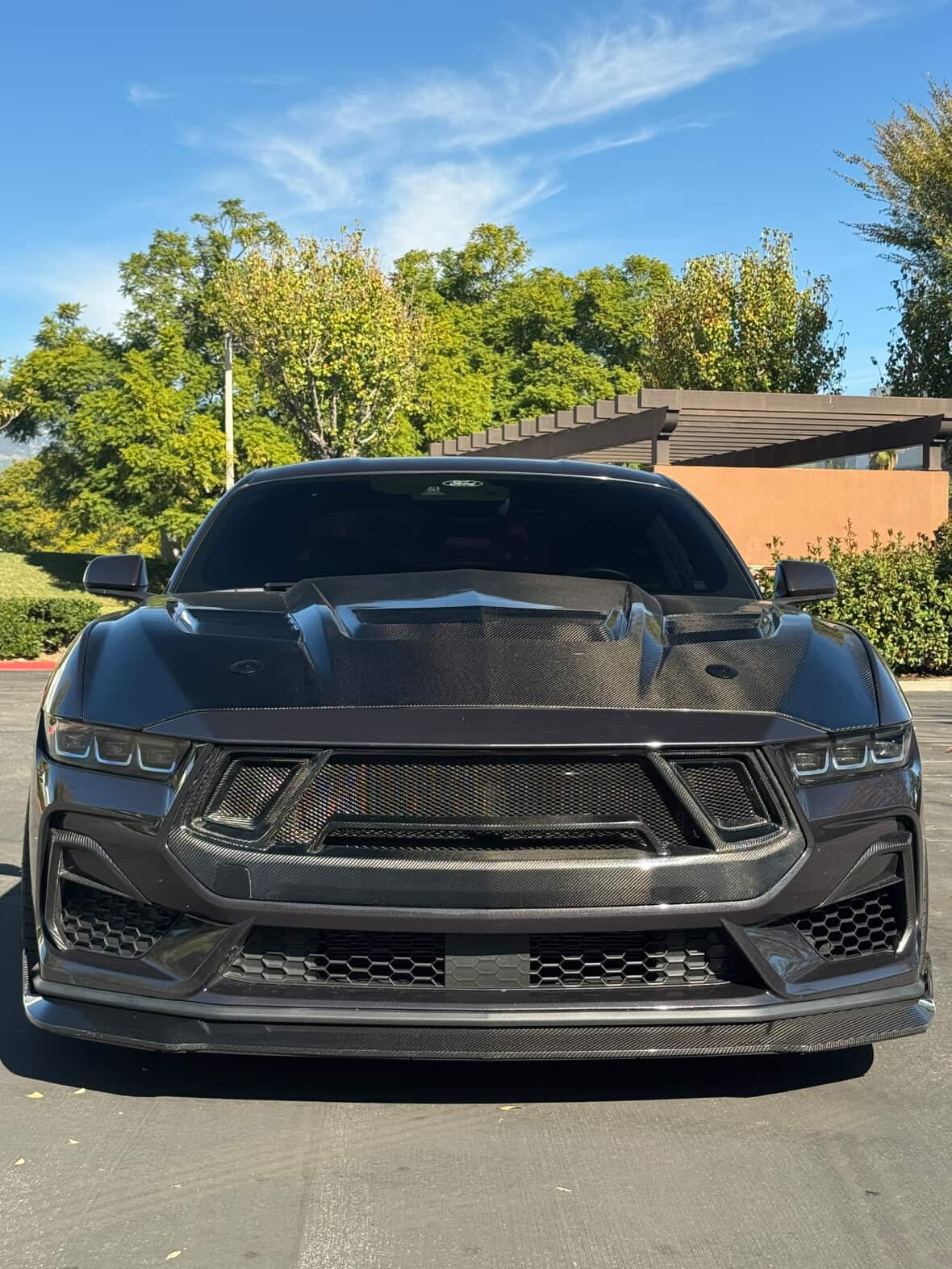 GT3 Carbon Fiber Front Bumper Grille for 2024+ Ford Mustang S650 by MAZ Muscle