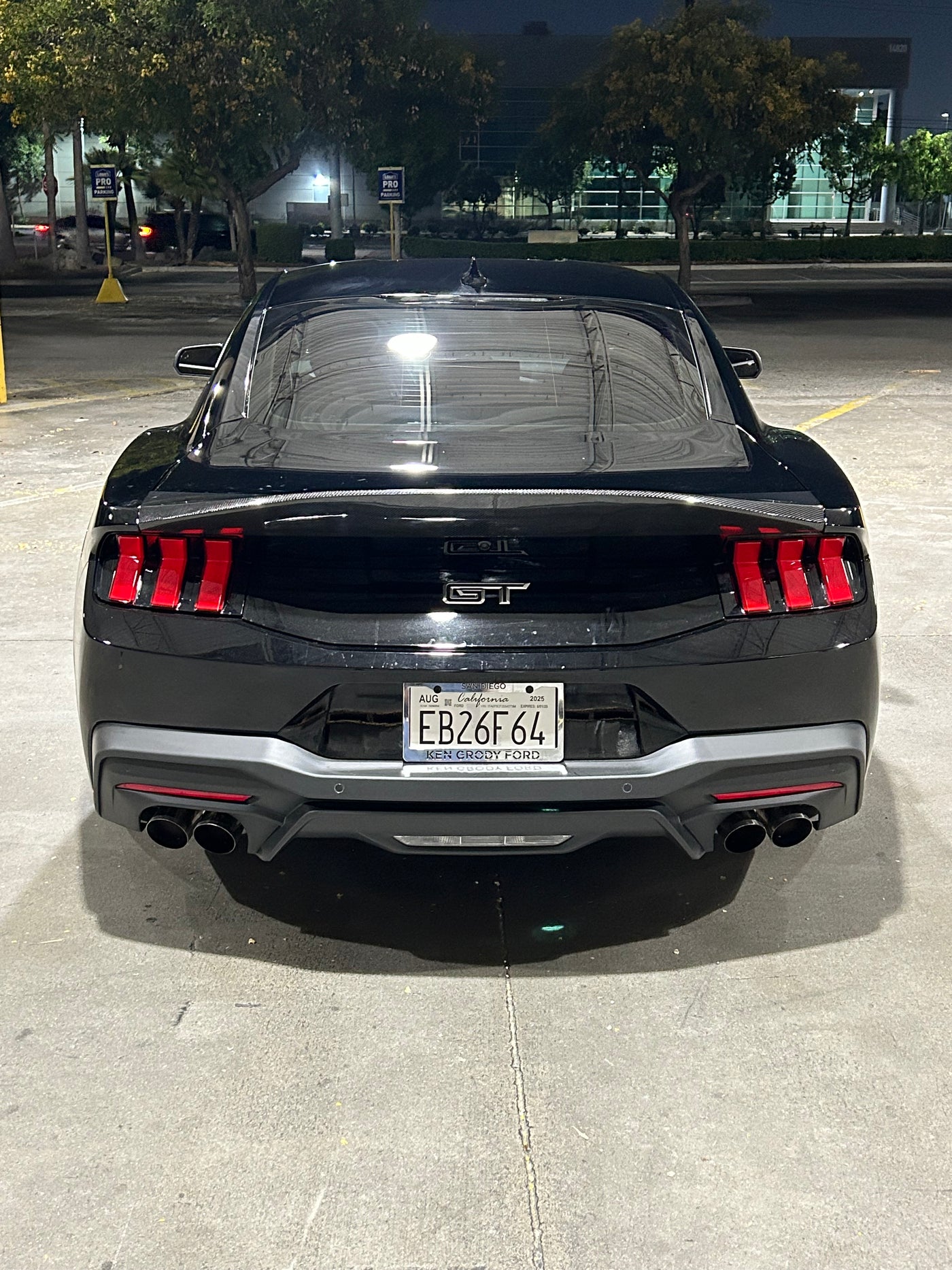 2024 Ducktail Wing
