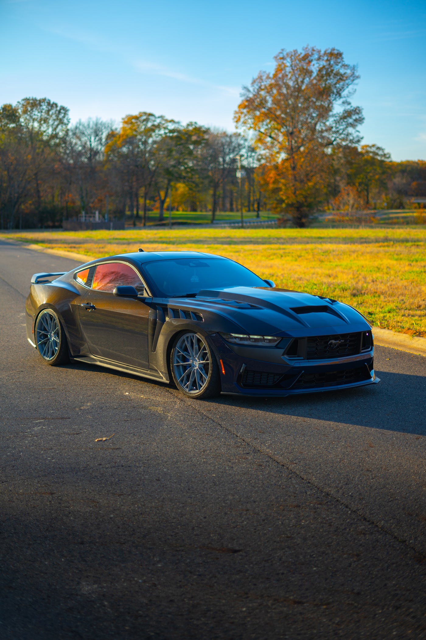 2024 Terminator Hood Mustang Double Sided Dry Carbon Fiber