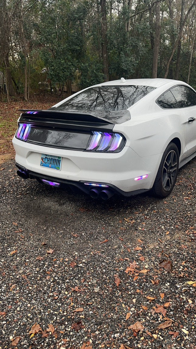 Mustang Ducktail Trunk with Wing and Decklid 2015–2023