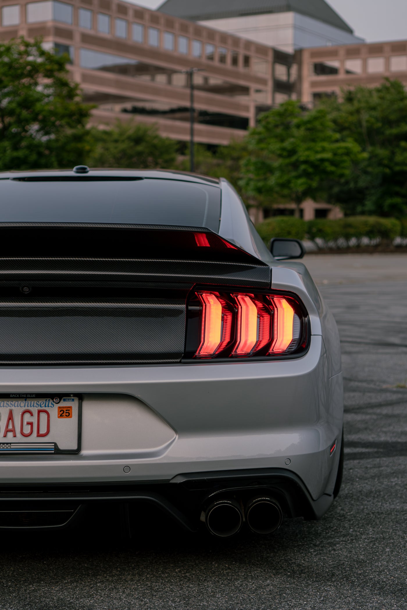 Mustang Carbon Fiber DuckTail Trunk