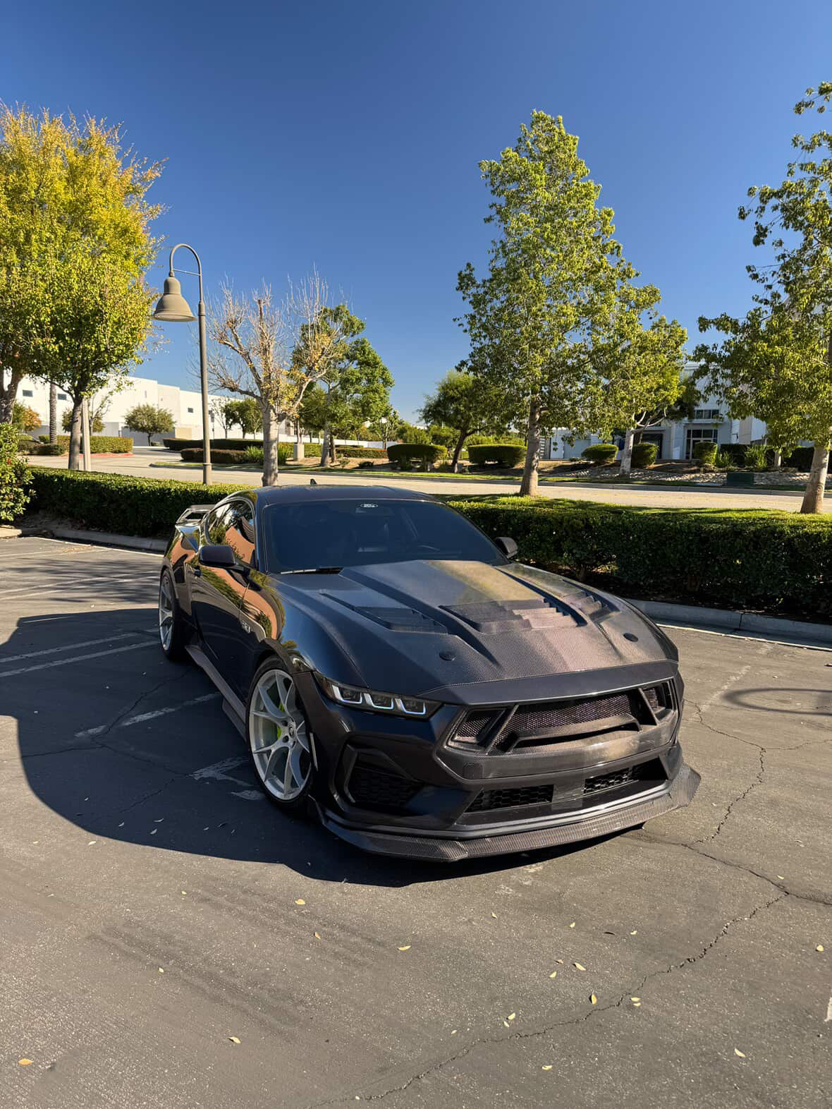 GT3 Carbon Fiber Front Bumper Grille for 2024+ Ford Mustang S650 by MAZ Muscle