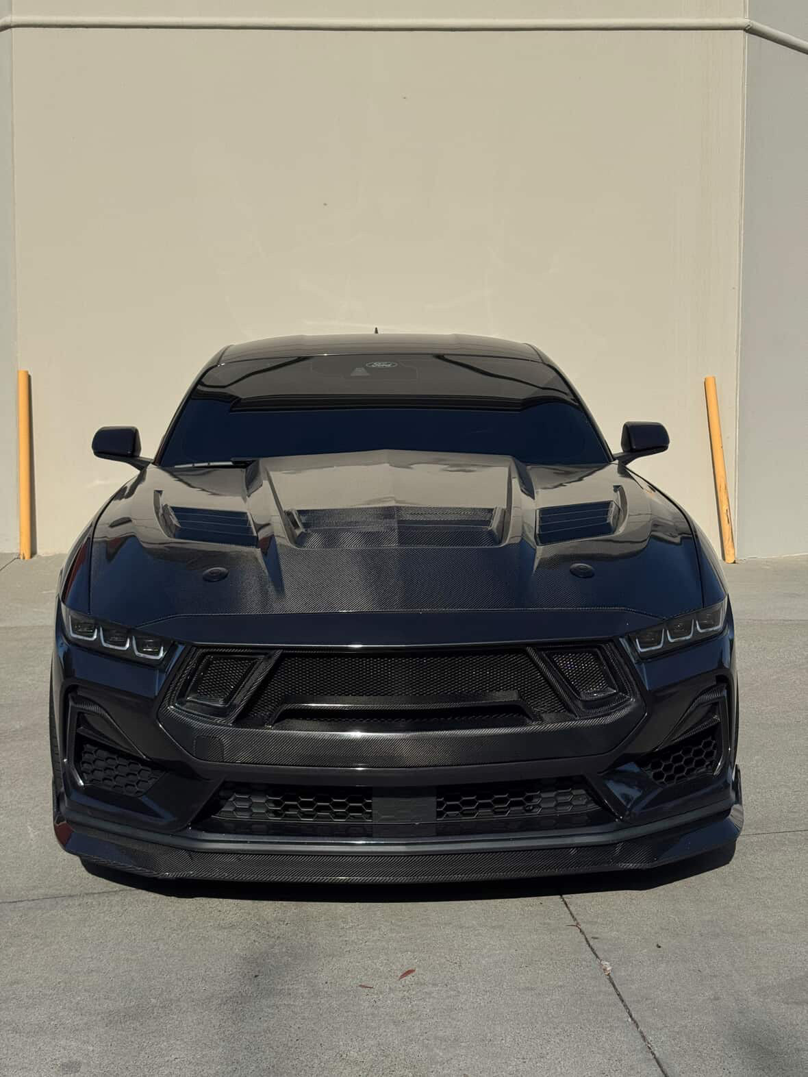 GT3 Carbon Fiber Front Bumper Grille for 2024+ Ford Mustang S650 by MAZ Muscle