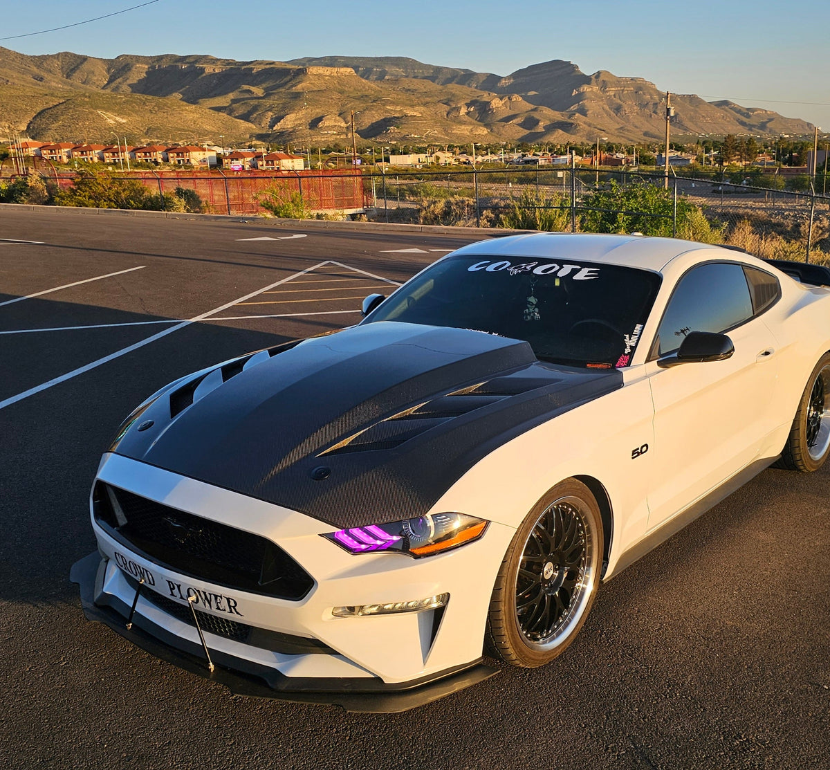 MAZ Muscle Viper AMS Carbon Fiber Hood for Ford Mustang 2015-2023 – 2x2 Twill Weave Lightweight Upgrade