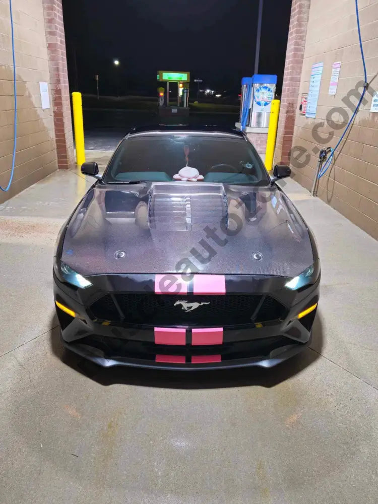 Carbon fiber Mustang GT500 hood with pre-drilled mounts