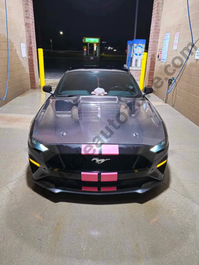 Carbon fiber Mustang GT500 hood with pre-drilled mounts